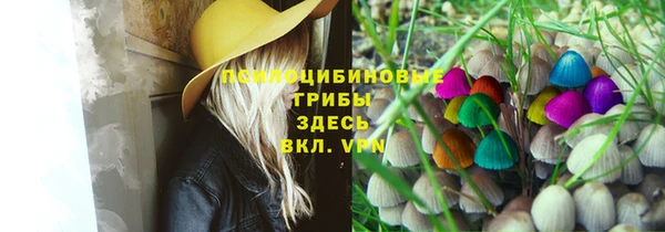 кокаин Белокуриха