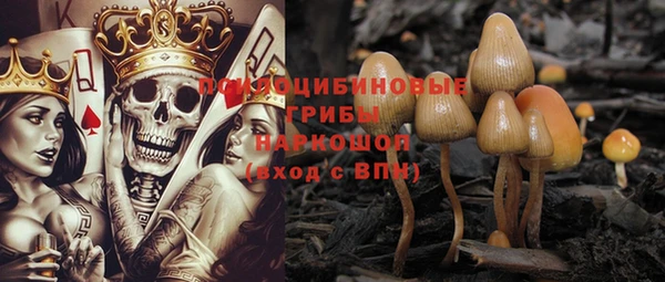 jwh Пересвет