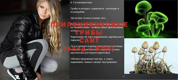 первитин Белоозёрский